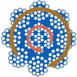 Spin resistant 2 layers & 8 to 10 outer strands